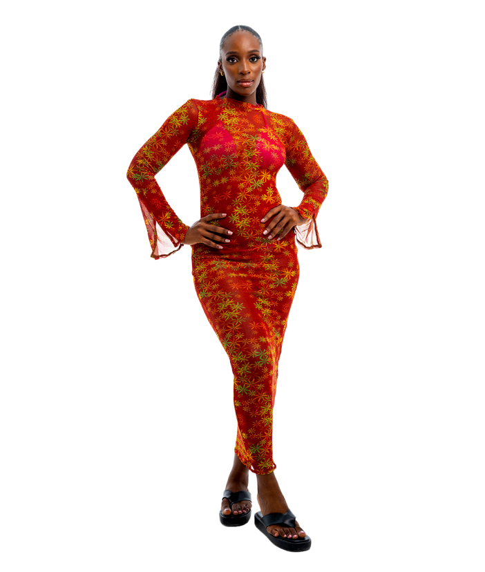 Aurora Mesh Long Dress