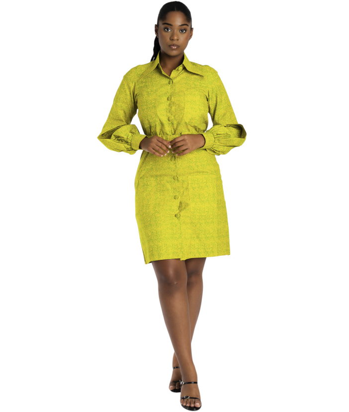 Ohemaa Long sleeve Dress