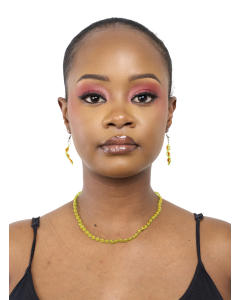 Deizi neckpiece and earrings